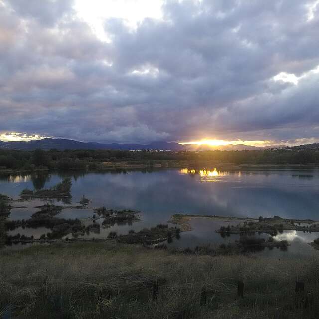 Journées mondiales des zones humides à l’Ecopôle du Val d’Allier