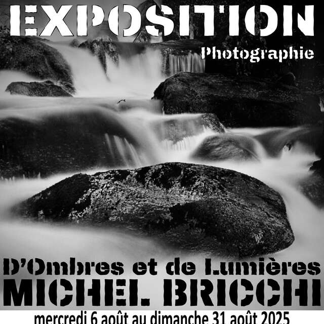 Exposition - Michel Bricchi