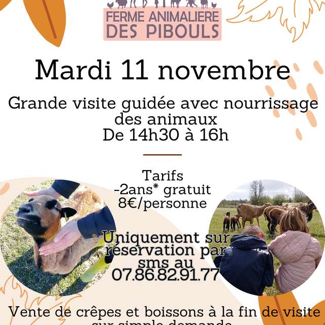 Amplia visita guiada a la granja de animales