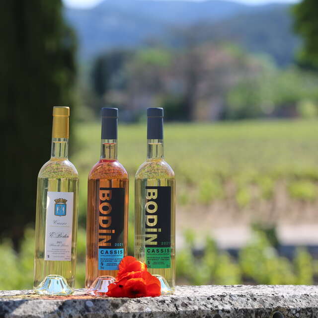 Cassis Bodin: Découverte du vignoble AOC Cassis et dégustation 5 vins