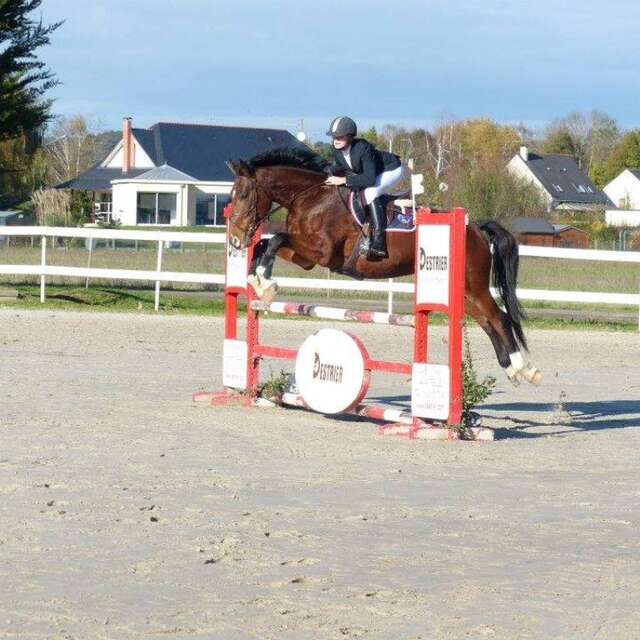 Angers Corné Equestrian Center