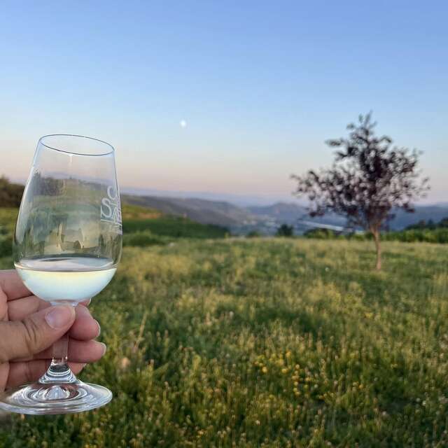 Apéro sunset dans les vignes (Domaine L. Bertrand)