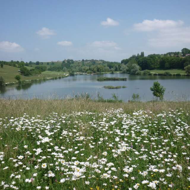 Picnic area - Lac de Machilly