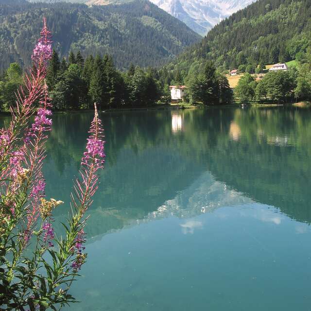 Fond de France