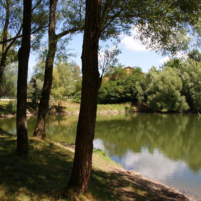 Montrebut et Isnards