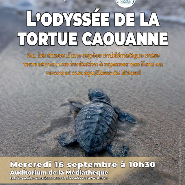 Diaporama interactif : l'Odyssée de la tortue caouanne
