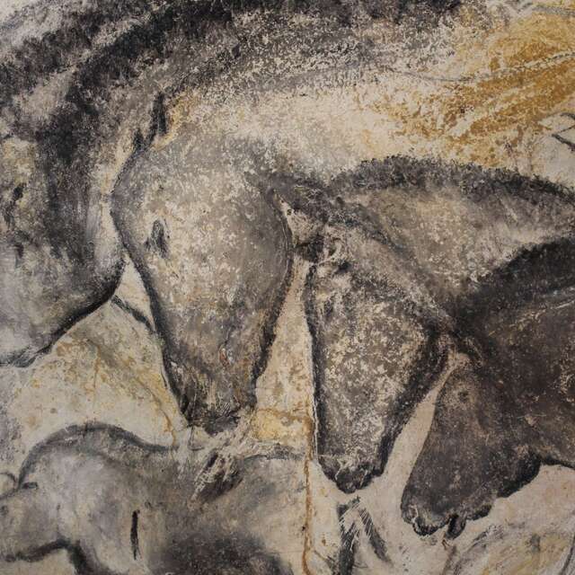 Conférence : "La grotte Chauvet : des animaux et des Hommes. 30 ans de recherches paléontologiques"