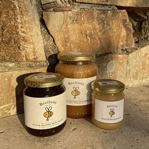 Visite de la passion - apiculture FAMILIALE