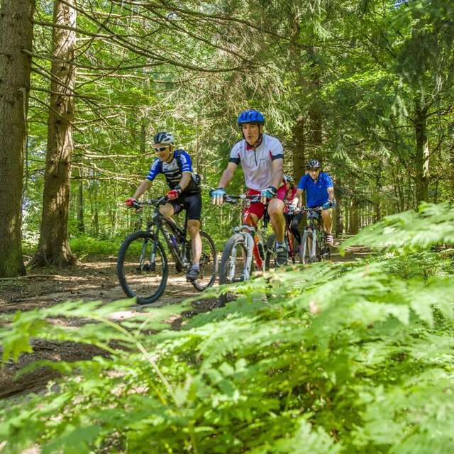 6 - Vers le Pont de Mars