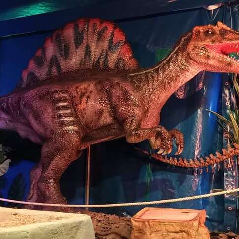 Exposition dinosaures à Thiers