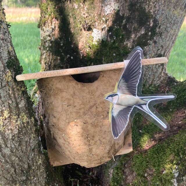 Fabrication d'un nid d'hirondelles