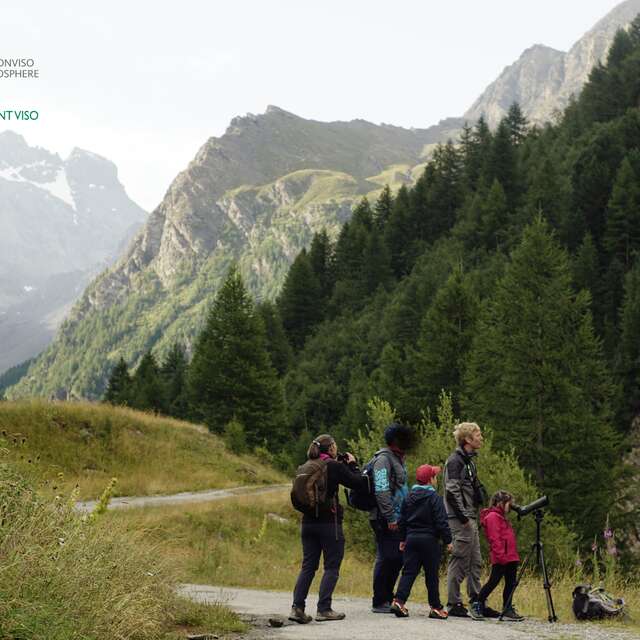 Park exit - The Ristolas Mont Viso reserve at dawn