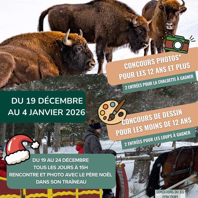 Réserve des Bisons d'Europe