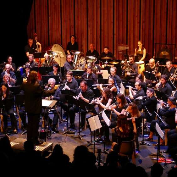 Juntos e misturados ! Musique brésilienne