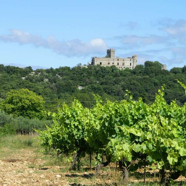 Château de Tornac