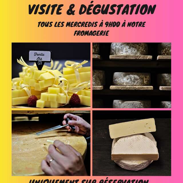 Visites et dégustation à la fromagerie de la Durance