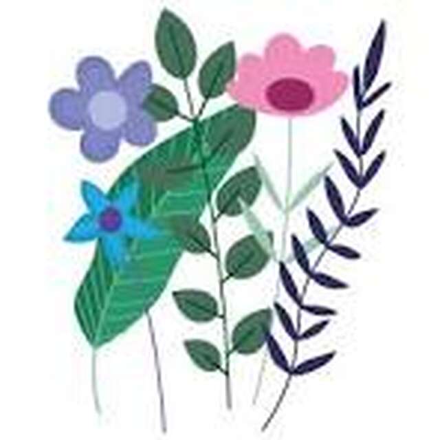 Secrets de sorcières