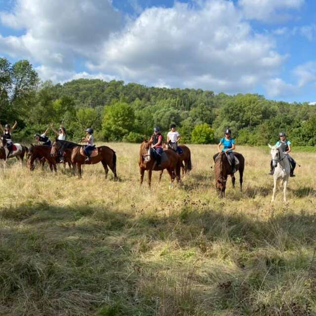 Balade à cheval au Lac Saint Cassien - TLP Equitation