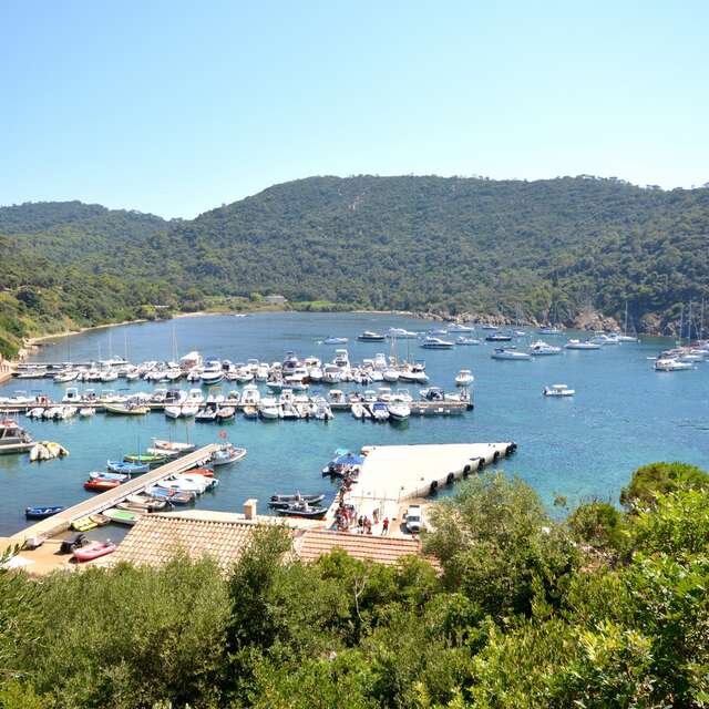Hafen von Port-Cros