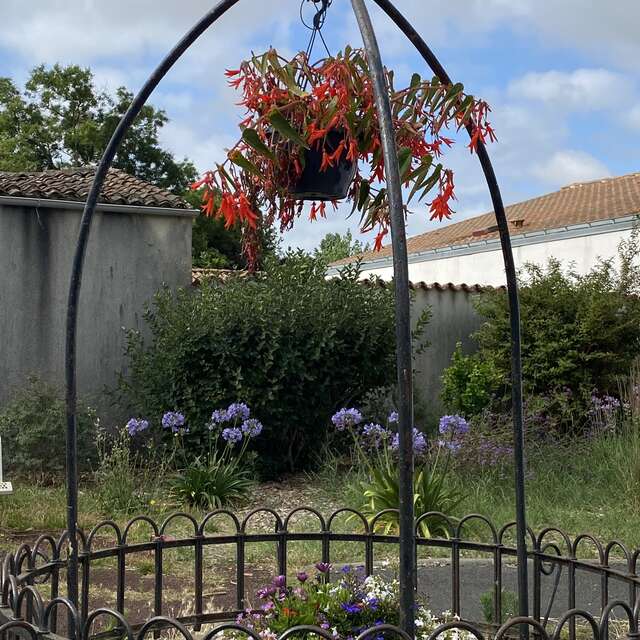 Terra Aventura - La Rosière à rosier...