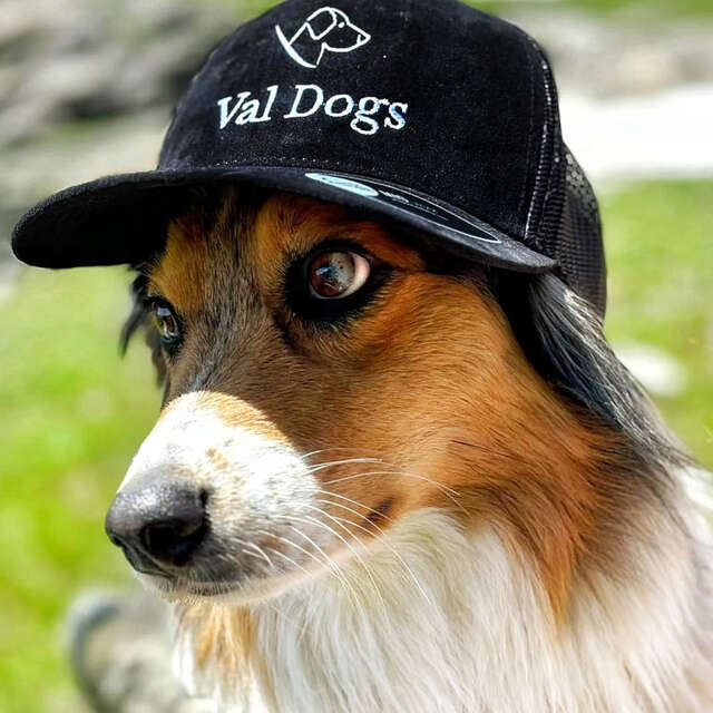 Val Dogs