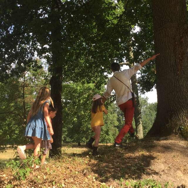 Musique en chemin... Bois de Ravel