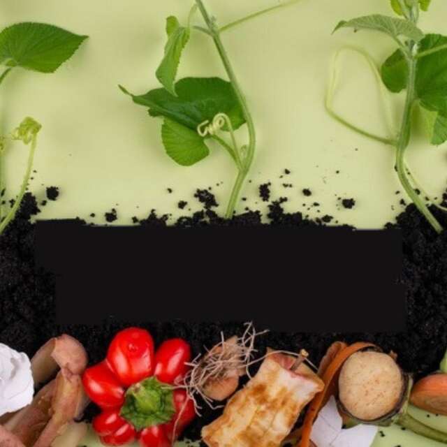 Ateliers récup : recyclage tout en couleurs