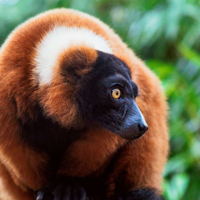 Stage enfant ZOA Team