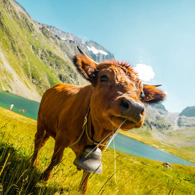 Randonnée Grand Tour des Lacs Muzelle et Lauvitel