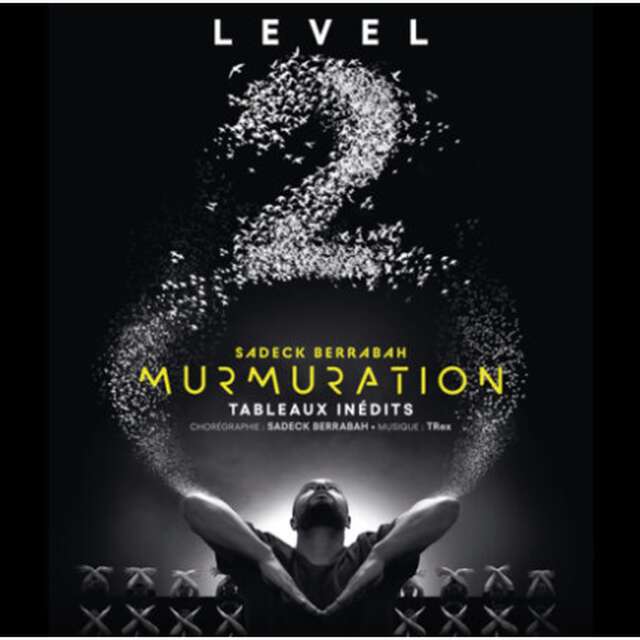 Murmuration Level 2 – Sadeck Berrabah