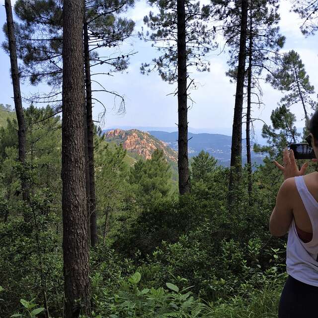 Discovery hikes in the Esterel massif