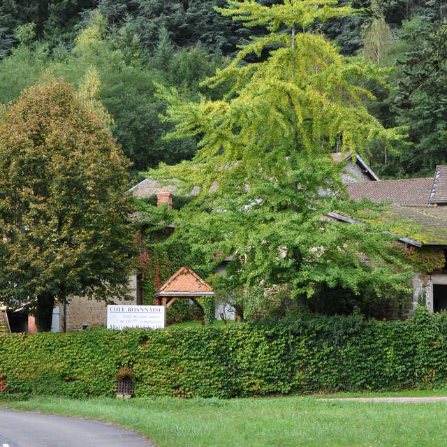Maison J.B. Clair - Guido D'Antonio et Claudine Clair