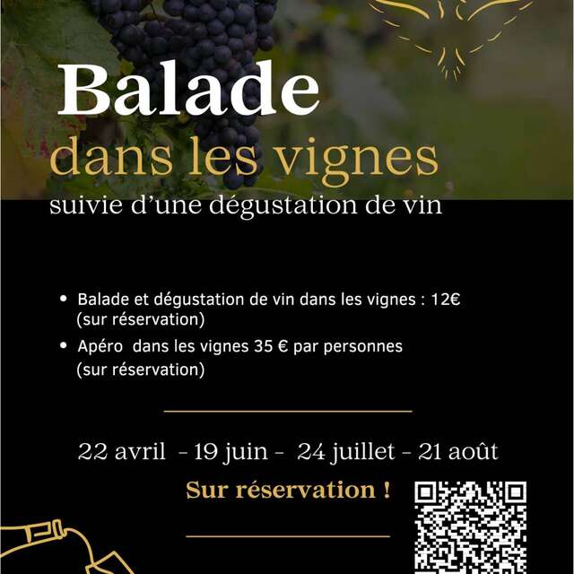 Aperitif in the vineyard - Domaine Le Clot de Bénou