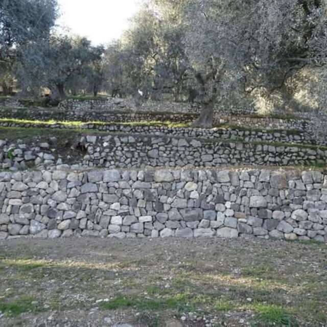 Chantier participatif murs en pierres sèches