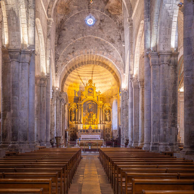 Cathédrale Notre-Dame et Saint-Thyrse
