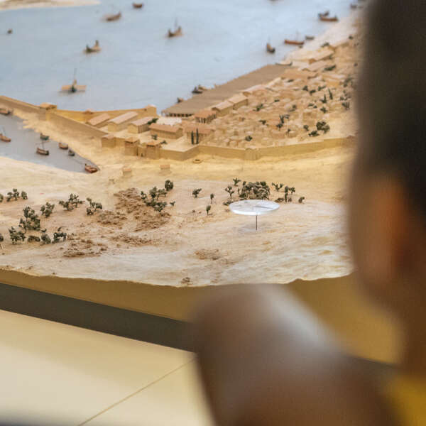 Visite en famille "Les petites bêtes du musée"