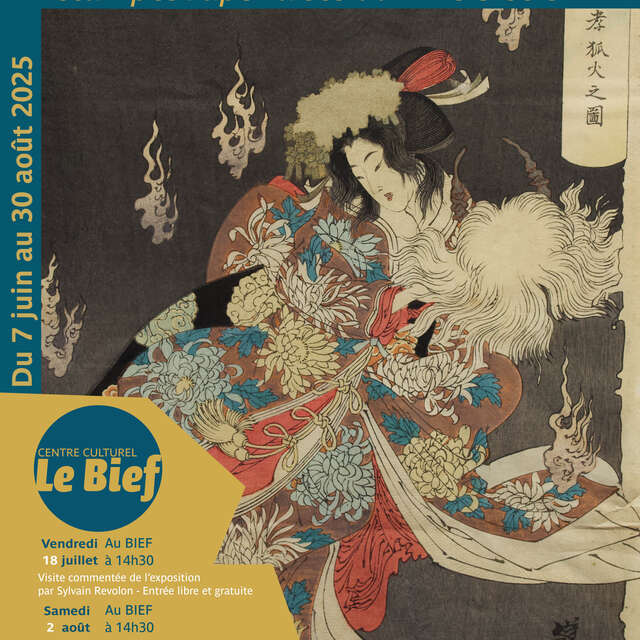 Visite commentée de l'exposition "Estampes japonaises du XIXème siècle" par Sylvain Revolon