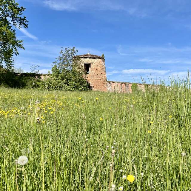 Visite guidée du centre historique de Châtillon-sur-Chalaronne