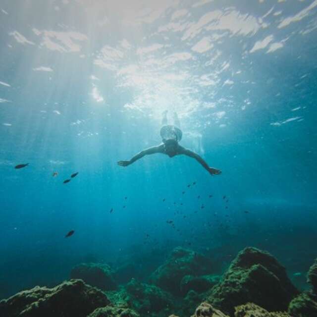 Snorkeling
