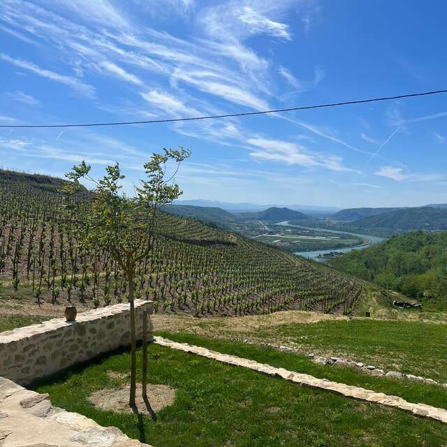 Domaine Lilian Bertrand