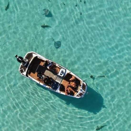 Mana'hau Boat - Sortie baleines