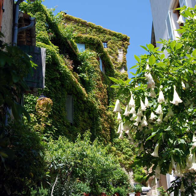 Bienvenue à Biot