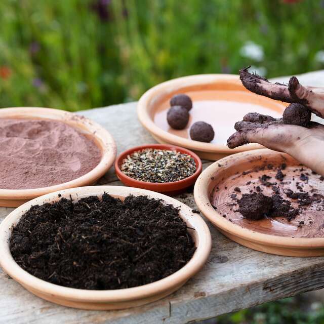 Atelier en tribu, 7/12 ans -  À vos bombes, prêts, plantez !