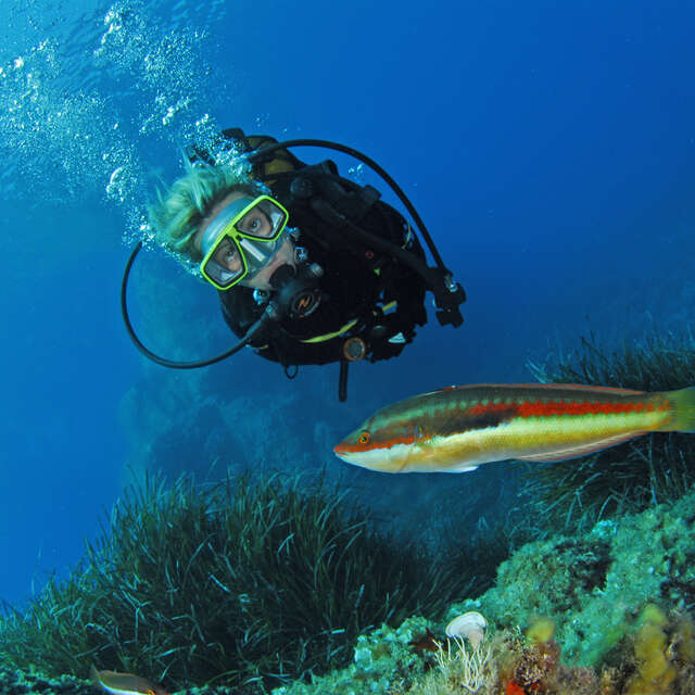 Galathéa - Festival International du monde marin à Hyères