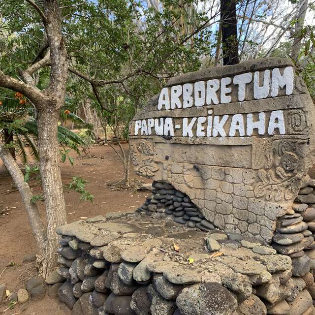Arboretum Papua Keikaha