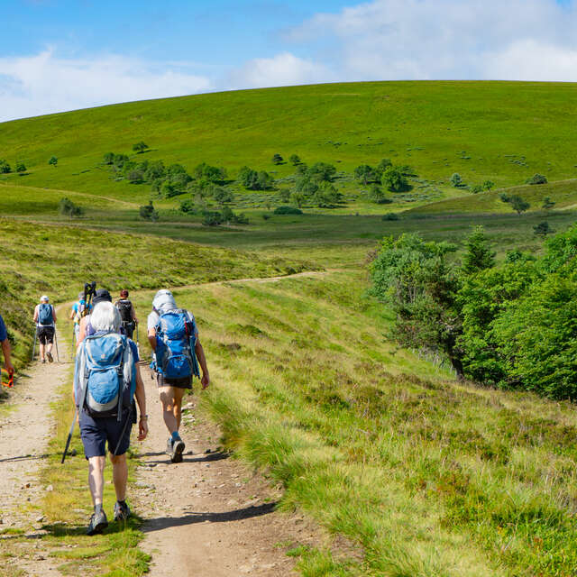 Entre les jasseries de la Loire et du Puy de Dôme - Randonnée commentée