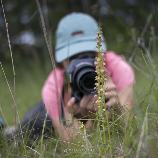 Rando patrimoine " Objectif orchidées sauvages "