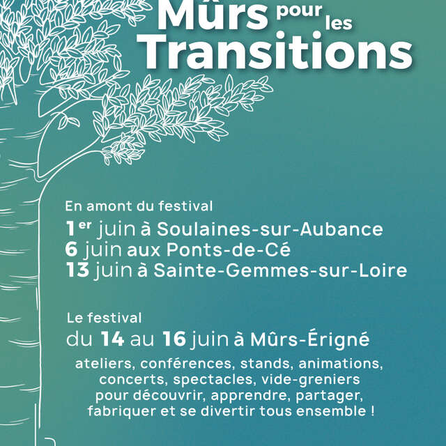 Festival Mûrs pour les Transitions