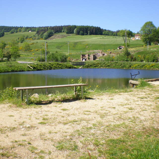 Etang de pêche - Les Champas