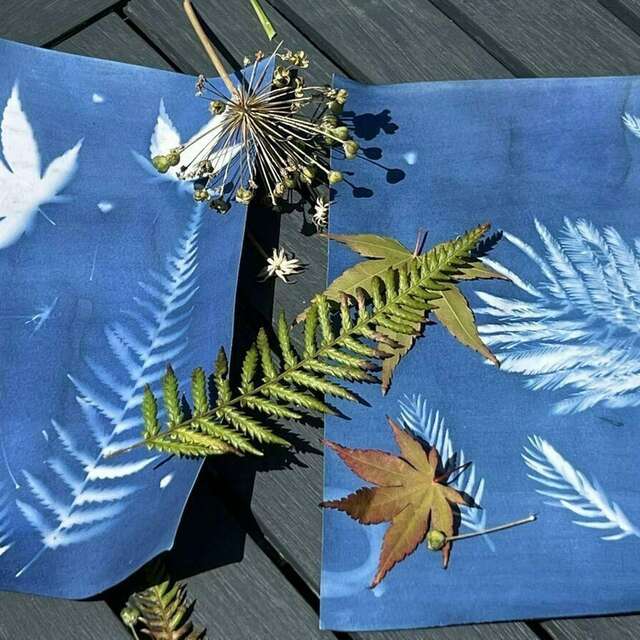 Découvrez la technique du cyanotype